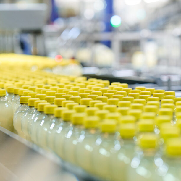 eine Vielzahl an PET Flaschen mit gelbem Deckel, gefüllt mit einer gelben Flüssigkeit, auf einem Fließband